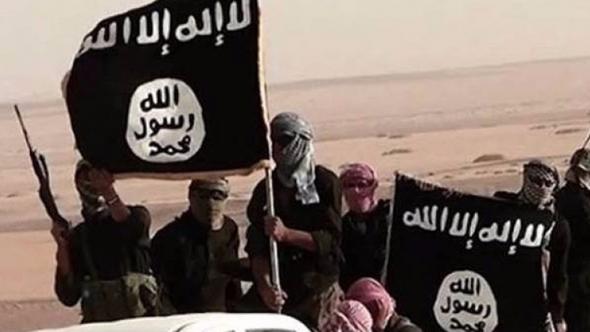 IŞİD'e yaban domuzları saldırdı