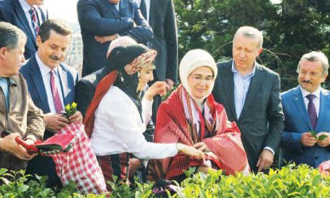 Erdoğan Yargısı ve Biat Oyunu
