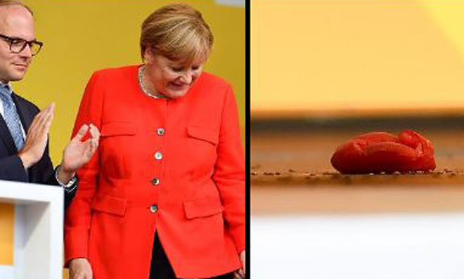Merkel’e Domatesli Saldırı